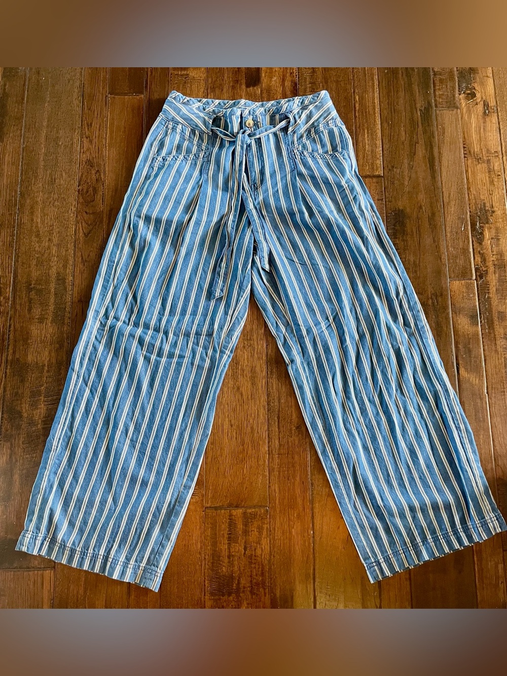 American Eagle Outfitters Blue and White Striped Pants